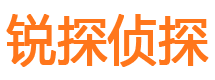 六安外遇出轨调查取证